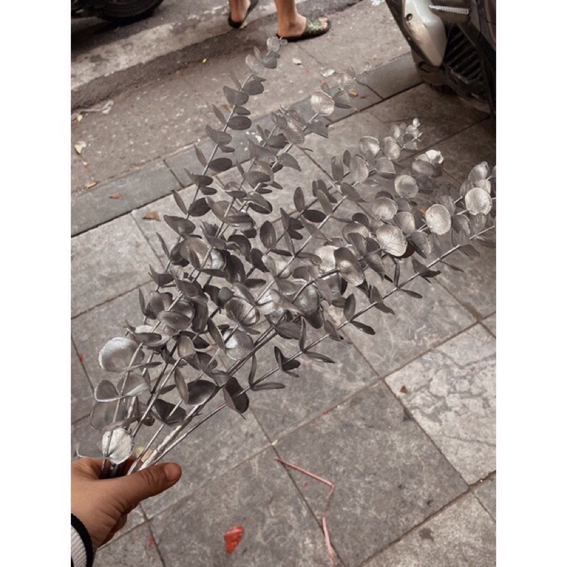 Cành lá táo vàng kim,cành rẻ quạt decor trang trí siêu đẹp