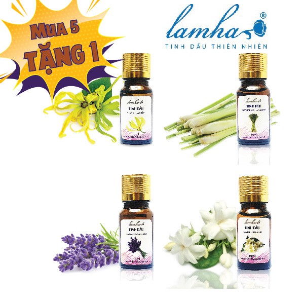 Tinh dầu Lam Hà 10ml - tùy chọn 20 mùi hương