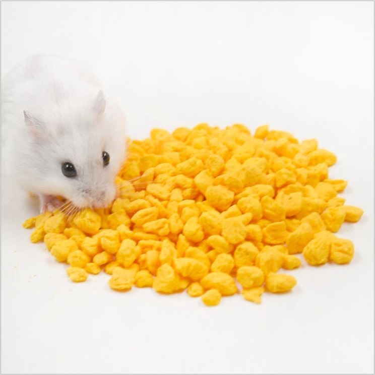 Bánh lòng đỏ trứng gà, thức ăn hamster