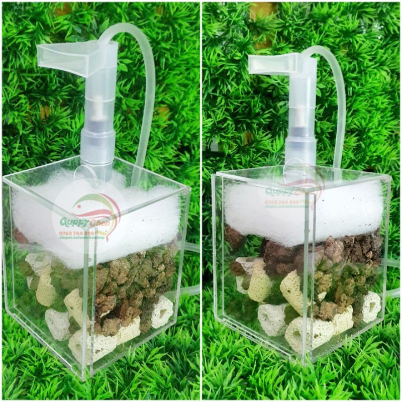 Lọc taiwan mini sang chảnh siêu trong cho hồ cá