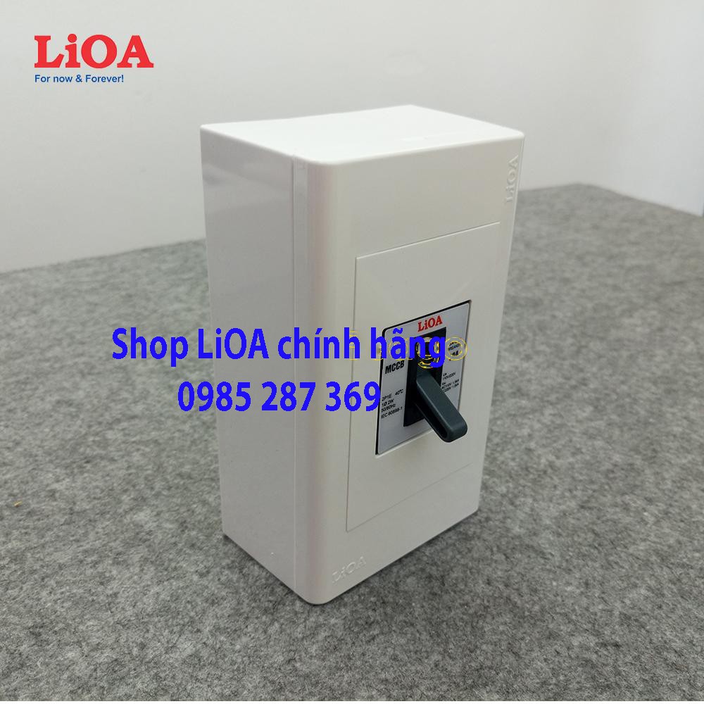 Combo cầu dao tự động an toàn APTOMAT LiOA loại 2 cực 2 tiếp điểm - Lắp nổi lớn