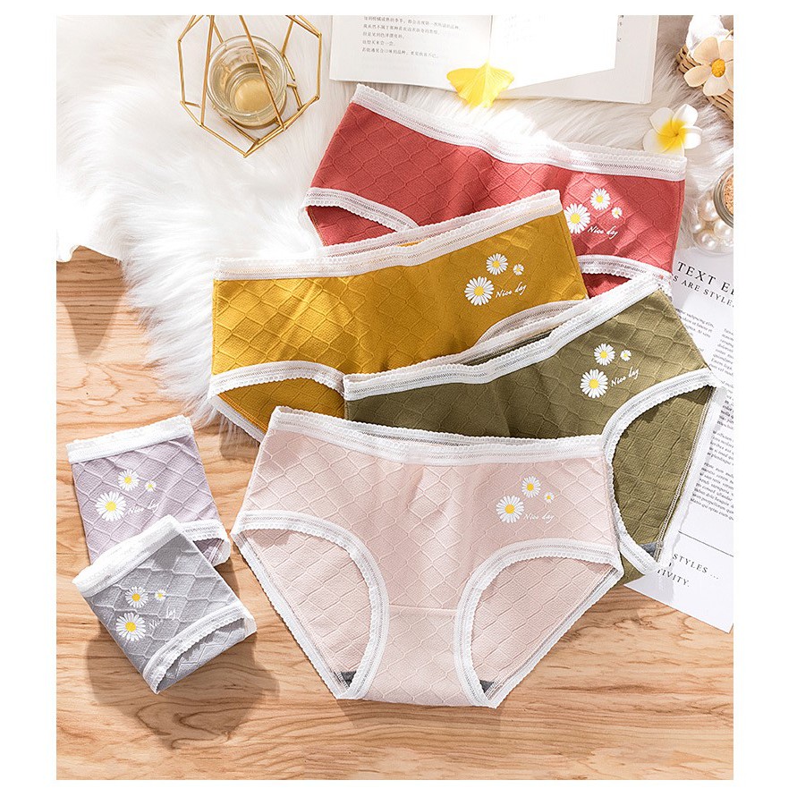 [ Chọn màu, che tên ] Quần lót quần chip cotton nữ cao cấp thoáng khí kháng khuẩn