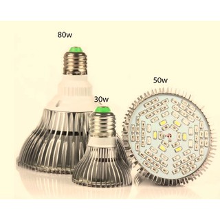 (Sản phẩm hot) Led trồng cây 30w