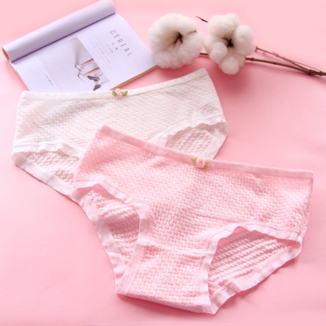Quần chip coton cho mẹ