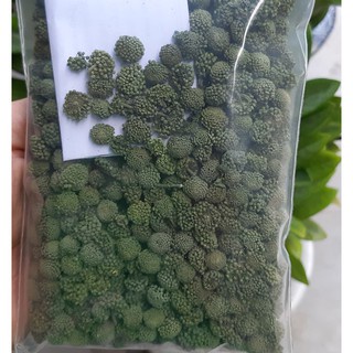 200gr NỤ TAM THẤT BAO TỬ KHÔ - hỗ trợ mất ngủ