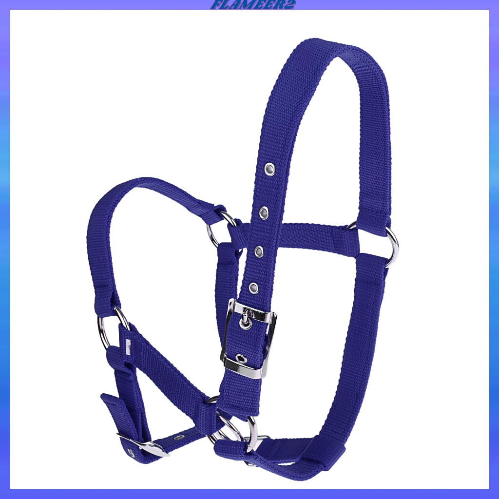 Dây Đeo Ngựa Cưỡi Ngựa Bằng Nylon Có Thể Điều Chỉnh Phong Cách Phương Tây
