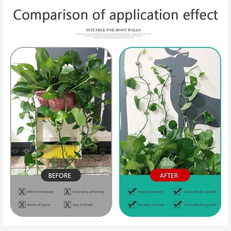 Set 10 Giá Đỡ Cây Dây Leo Tự Dính Thân Thiện Với Môi Trường Không Cần Đóng Đinh Tiết Kiệm Không Gian