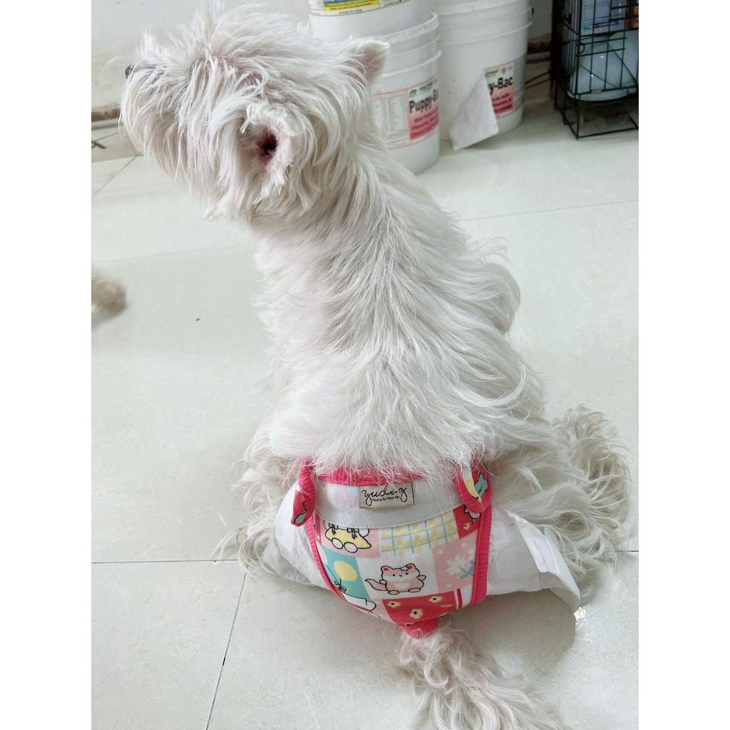 Tã vải sinh lý dành cho cún cái