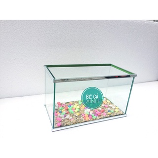 Bể cá mini 25cm- 30cm + đèn led ( tặng phụ kiện)