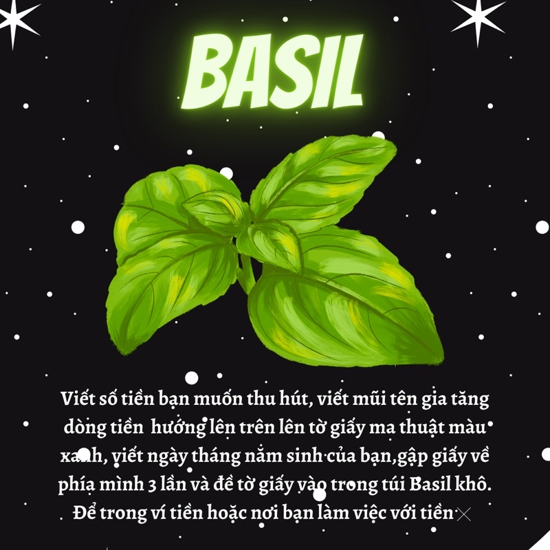 Bột/Hạt Cinnamon, Fenugreek, Nutmeg, Basil, Cardamom, Cloves...làm rituals thu hút may mắn và tài lộc