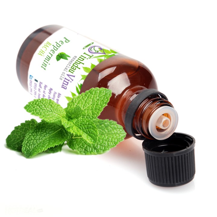 Tinh dầu bạc hà 50ml