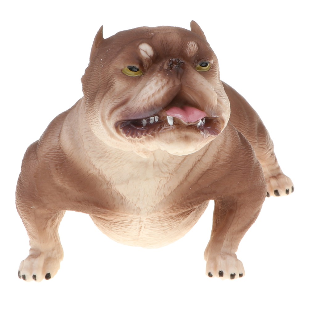 Mô hình đồ chơi hình chó Pitbull Mỹ và thú ngộ nghĩnh