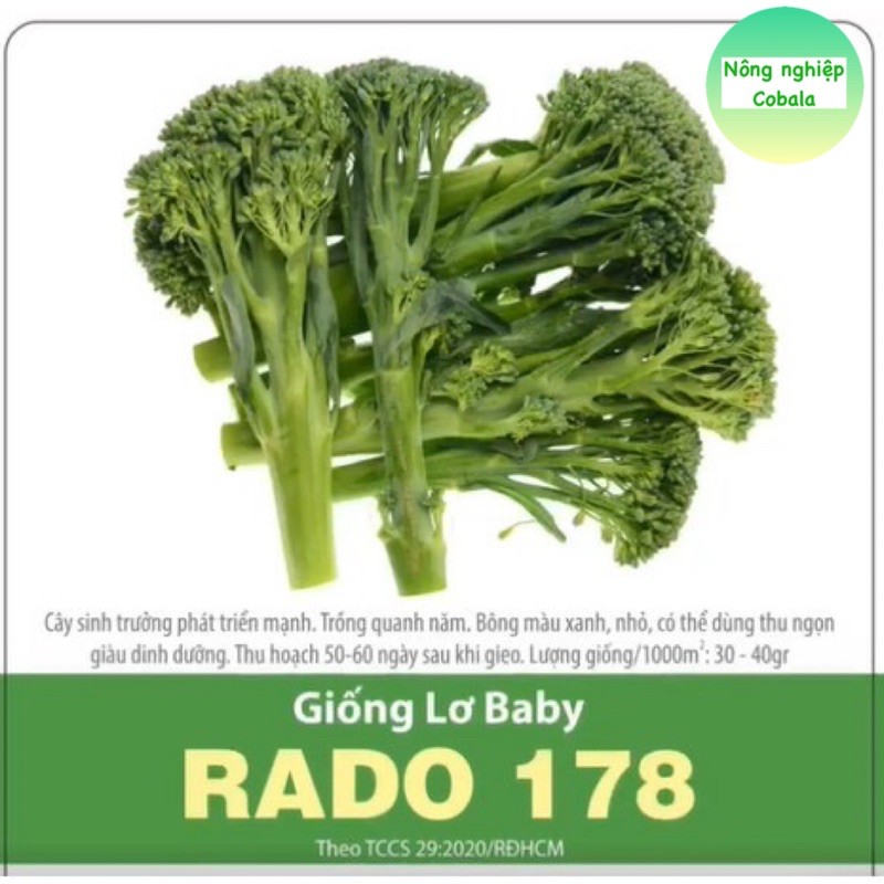 Hạt Giống Lơ Baby 0.5gr