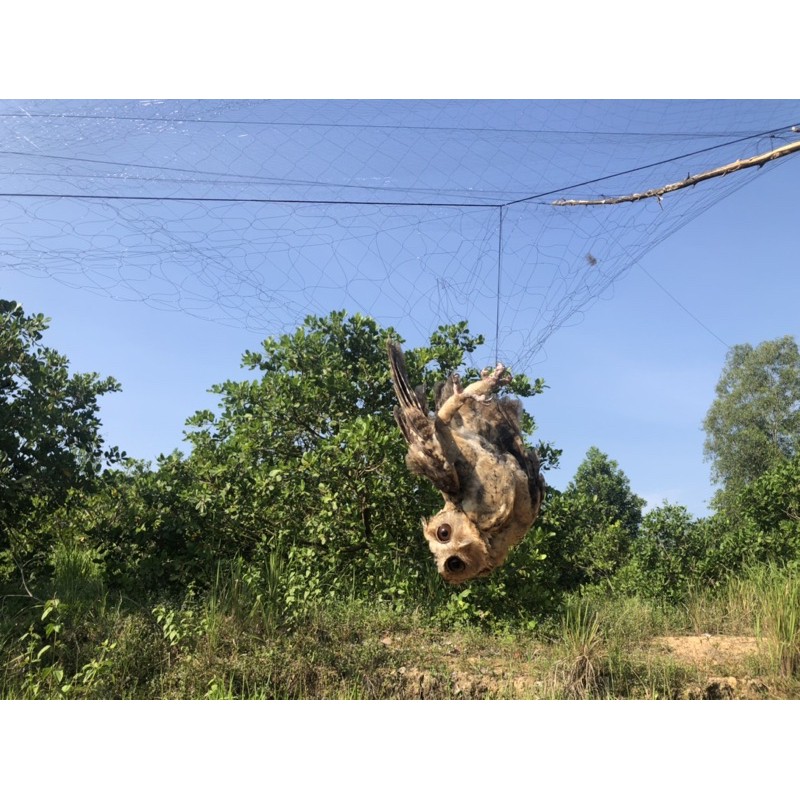 60m lưới tàng hình mắt 7 phân.5 viền 4 túi