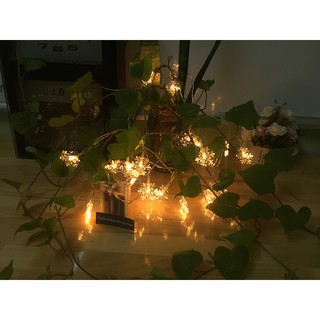Đèn hoa tuyết noel