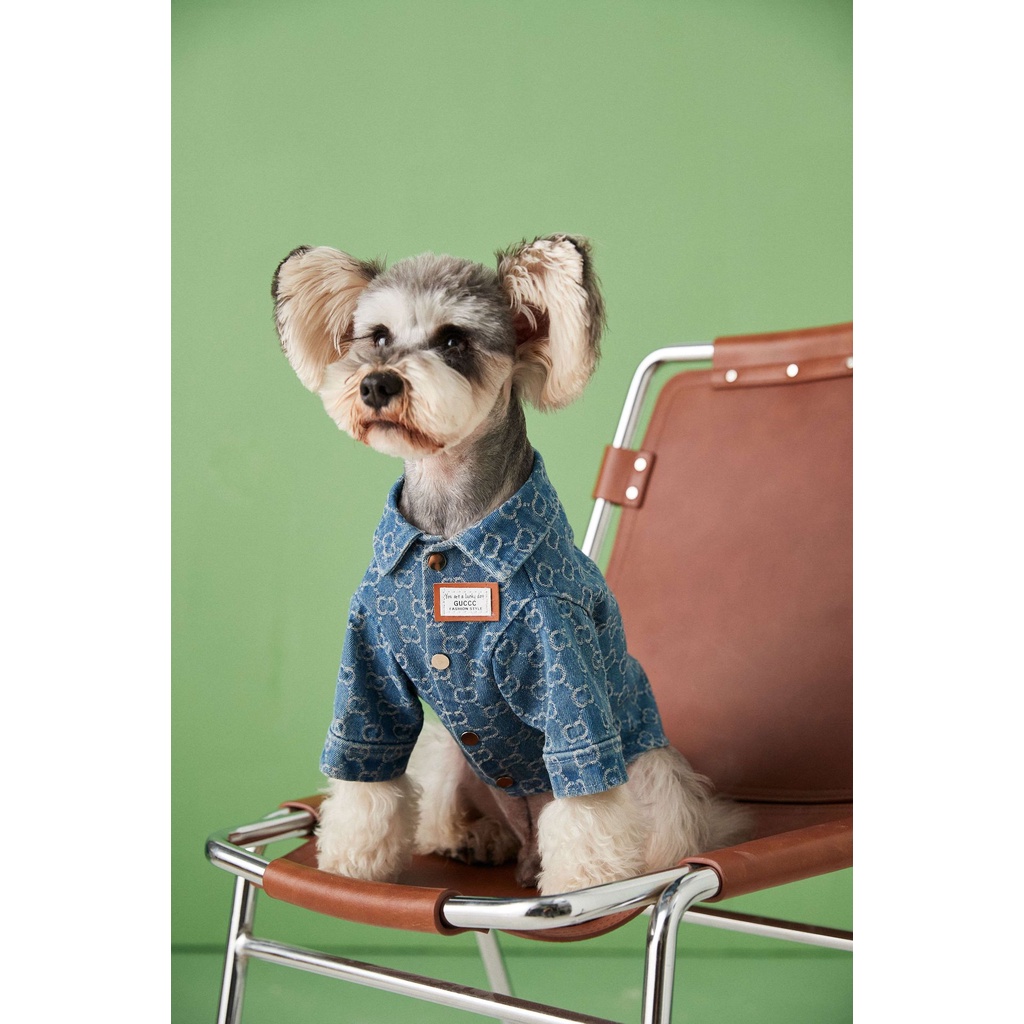 Áo Khoác Denim Thời Trang Xuân Thu Dành Cho Cún Cưng