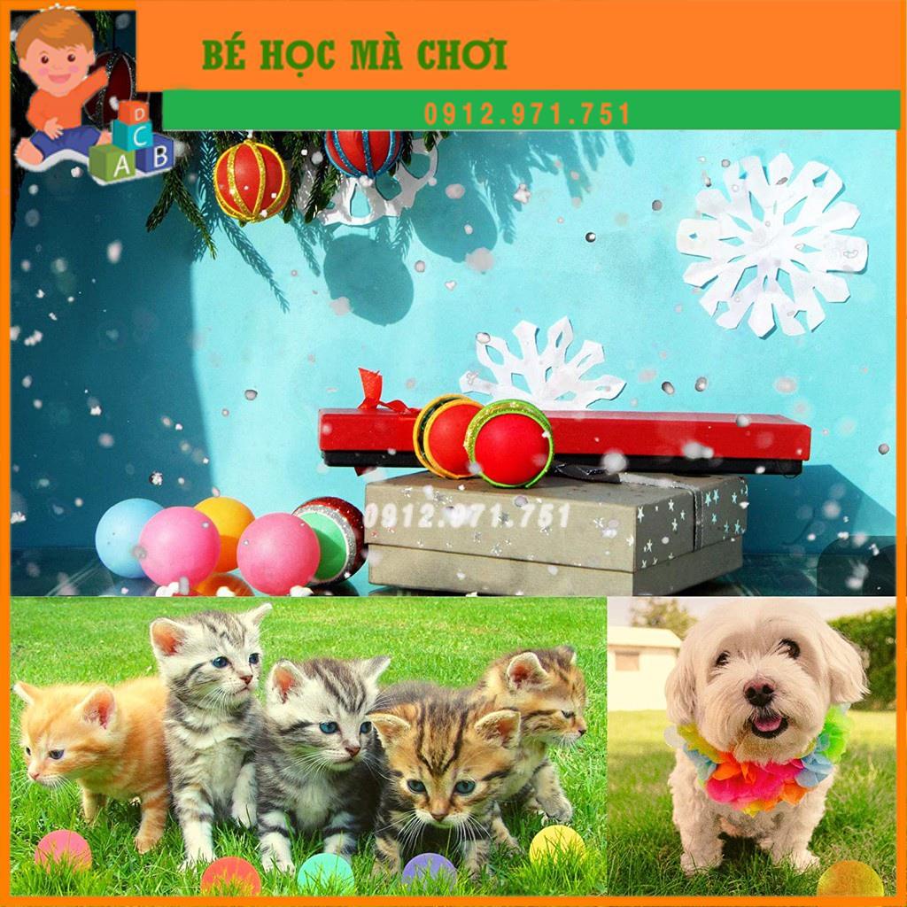 Quả Bóng Bàn Nhiều Màu chơi bóng nảy, chơi trò chơi tập thể, trang trí thủ công