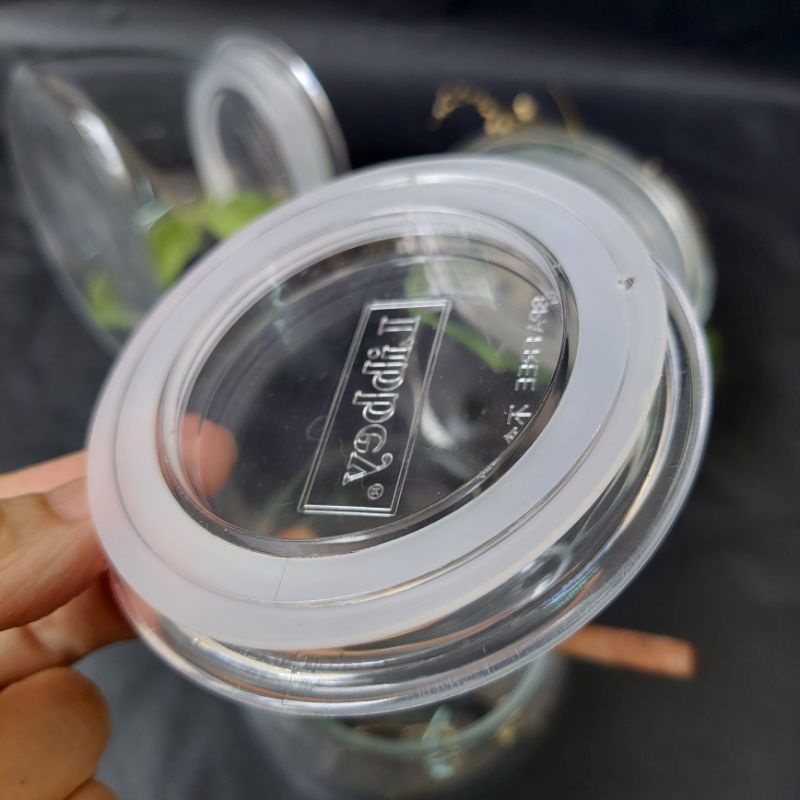 Hủ thủy tinh bánh ú_NẮP SILICON
