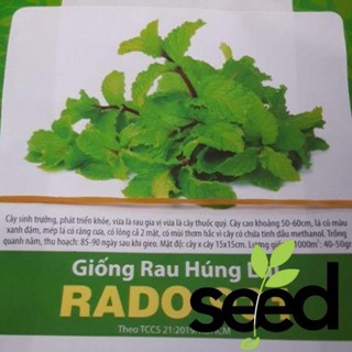 [Giống Rất Thơm] Hạt Giống Húng Lủi Rạng Đông Chịu Nhiệt 0.2gram