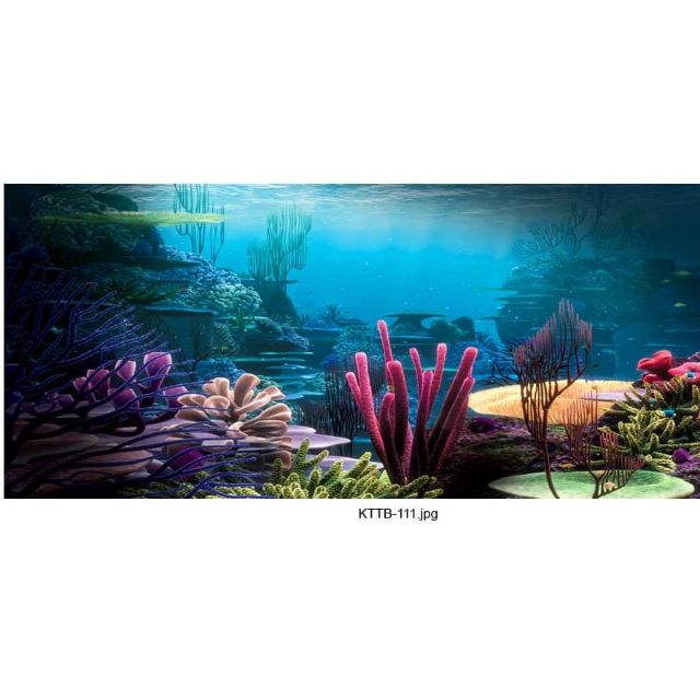 Tranh 3D bể cá( kt 80x50cm)