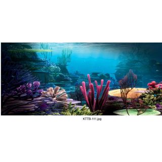 Tranh 3D bể cá( kt 80x50cm)