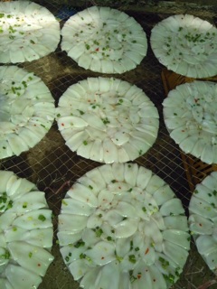BÁNH TRÁNG MỰC SỮA