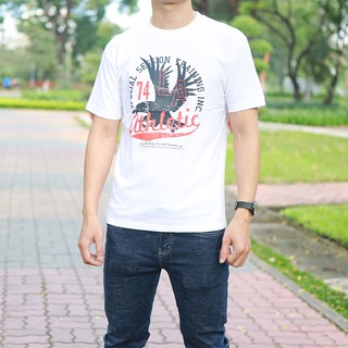 Áo thun nam eagle, thun cotton 100% 4 chiều cao cấp, d0029