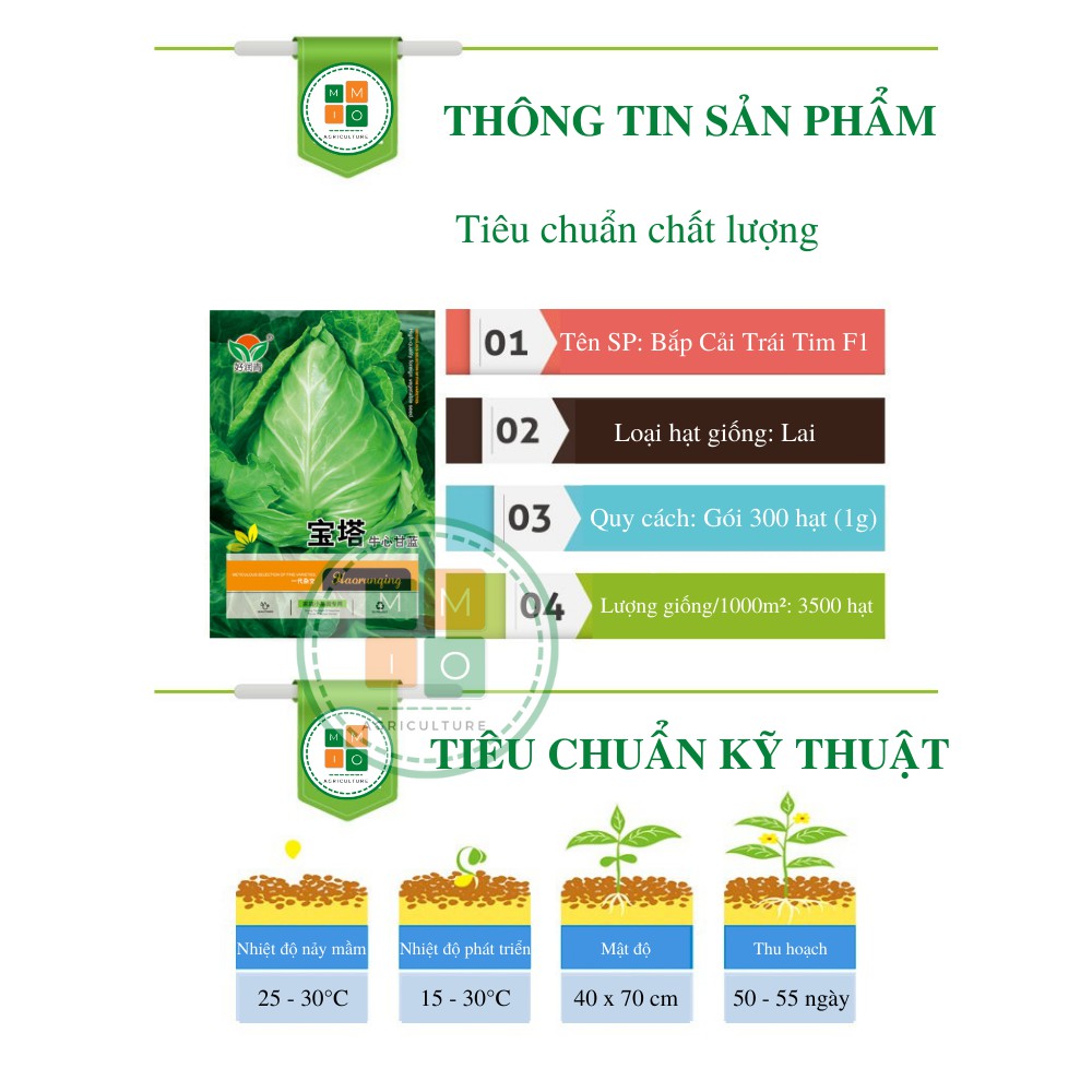 Hạt giống bắp cải trái tim chịu nhiệt F1
