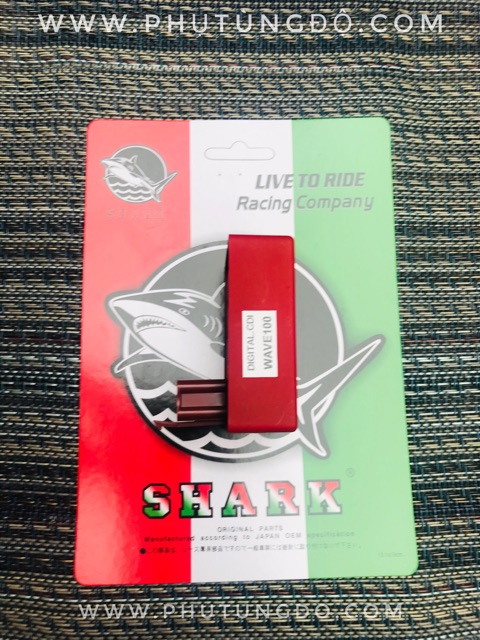 Ic Shark Wave Dream