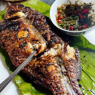 Chẩm chéo/chẳm chéo tây bắc Hạnh Gà