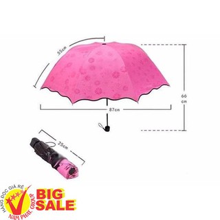 [SALE DEAL] Dù Đi Mưa Gặp Nước Nở Hoa [NQ4]
