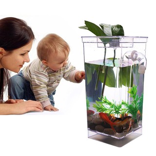 【Free shipping Aquarium tank with cleaning nozzle
