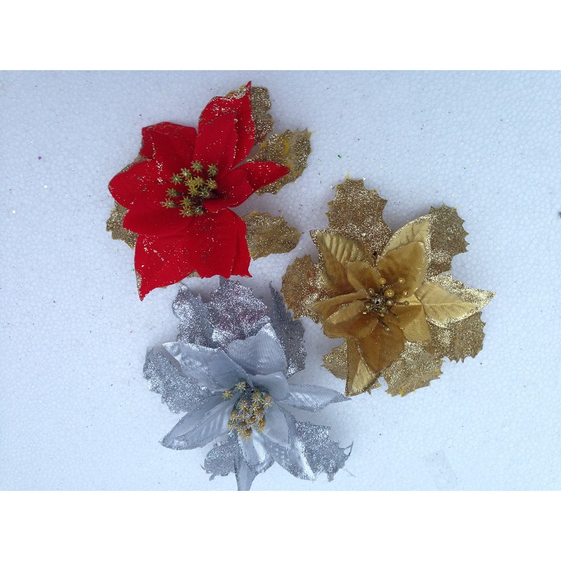 Combo vòng nguyệt quế và lá trạng nguyên