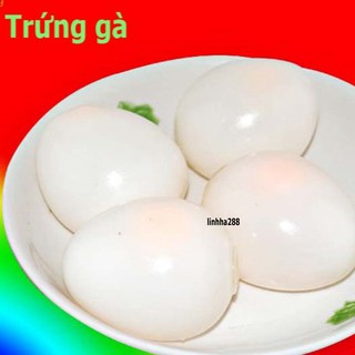 Đồ chơi GUDETAMA SQUIShY trứng bóp trút giận hình quả trứng gà trắng cực ngộ nghĩnh mochi slime