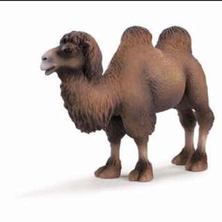 Schleich 14348 Lạc Đà Hai Bướu