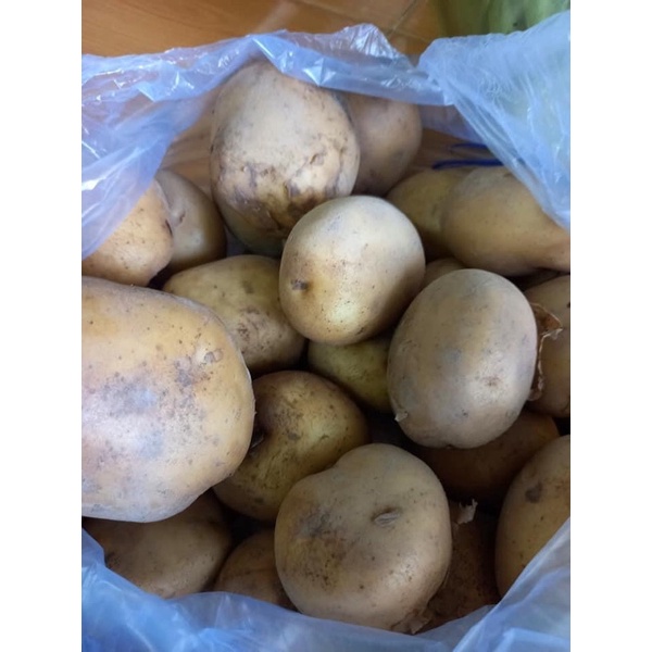 Khoai tây Đà Lạt 1kg - Hàng mới mỗi ngày