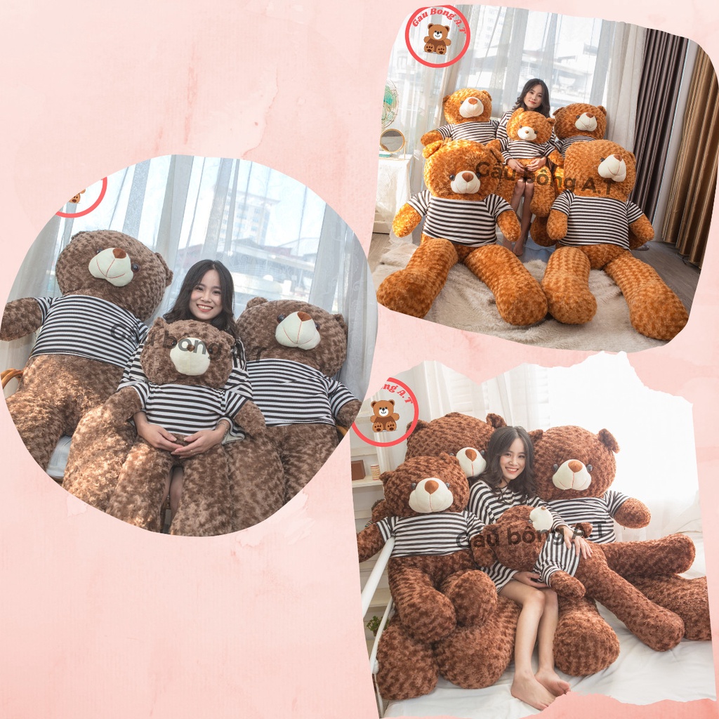Gấu Teddy nhồi bông siêu to khổng lồ 90cm-1m8