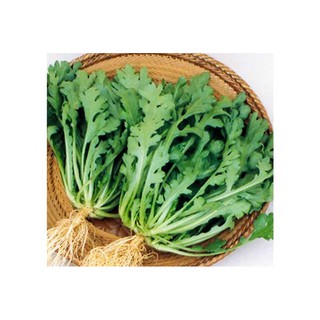 Hạt giống rau Cải cúc