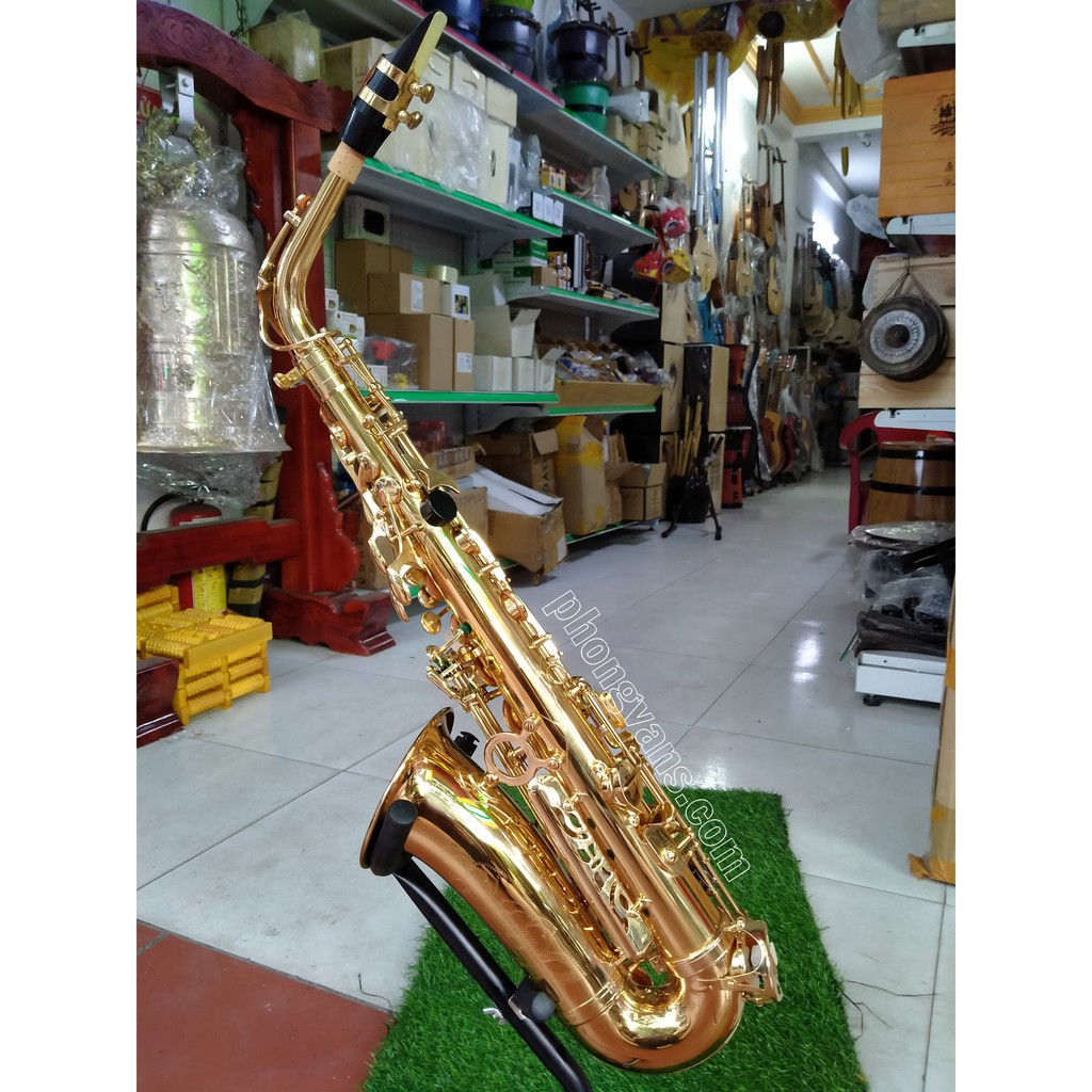 Kèn saxophone alto Victoria VAS-568EX màu vàng