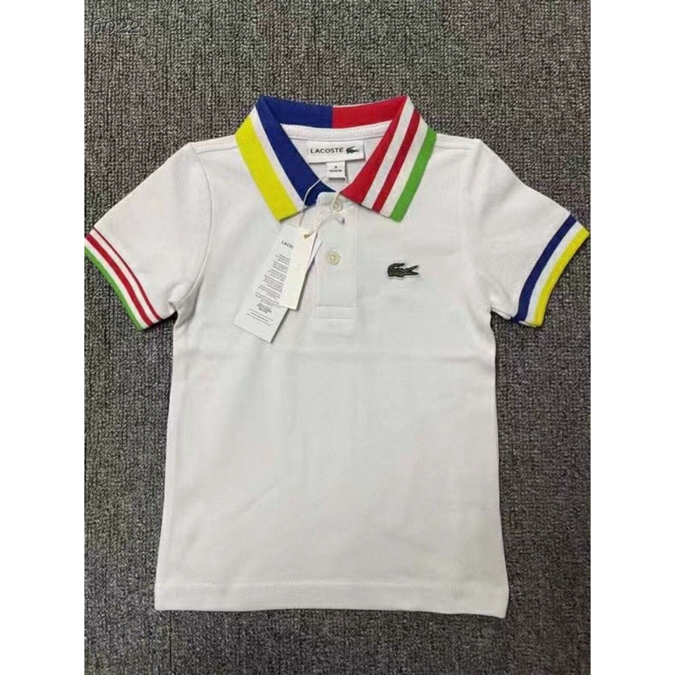 Áo phông lacoste trắng cổ kẻ