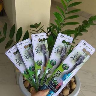 Sét 10 bàn chải than tre
