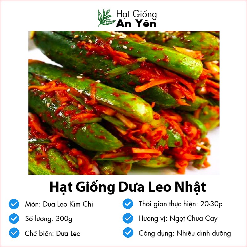 Hạt giống Dưa Leo Nhật thu hoạch sớm, dễ trồng, nảy mầm cao, sinh trưởng khoẻ