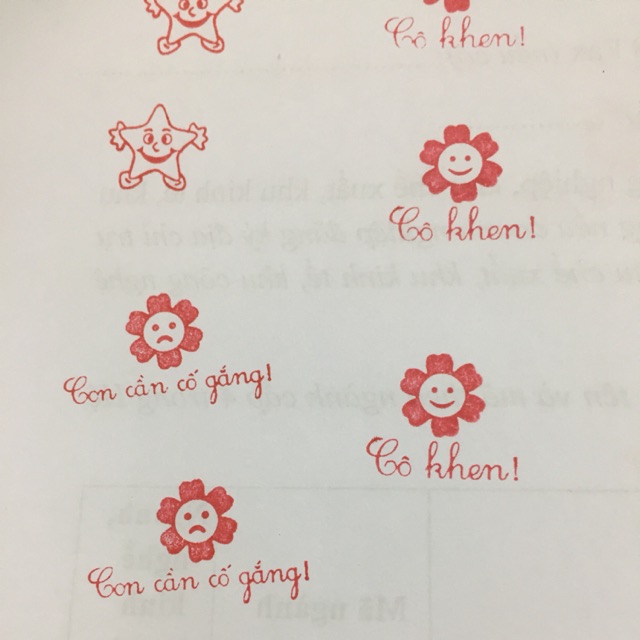 Combo 3 con dấu theo yêu cầu