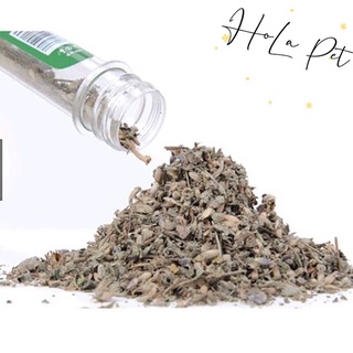 Cỏ Bạc Hà - cỏ mèo khô