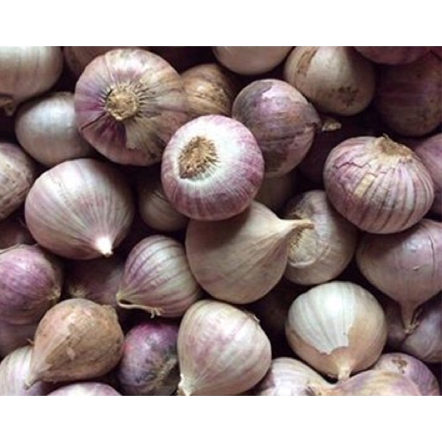 Tỏi cô đơn 2kg loại 1 Việt Nam, tỏi 1 nhánh, tỏi mồ côi đã chọn lọc