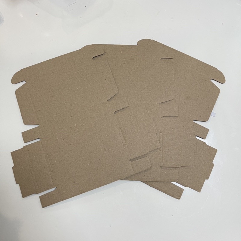 [Cois N] Hộp carton Kraft Hoạt Hình Coisini Độc Quyền