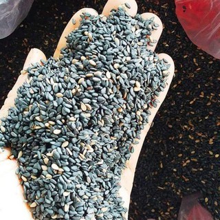 Vừng, mè đen loại trên núi