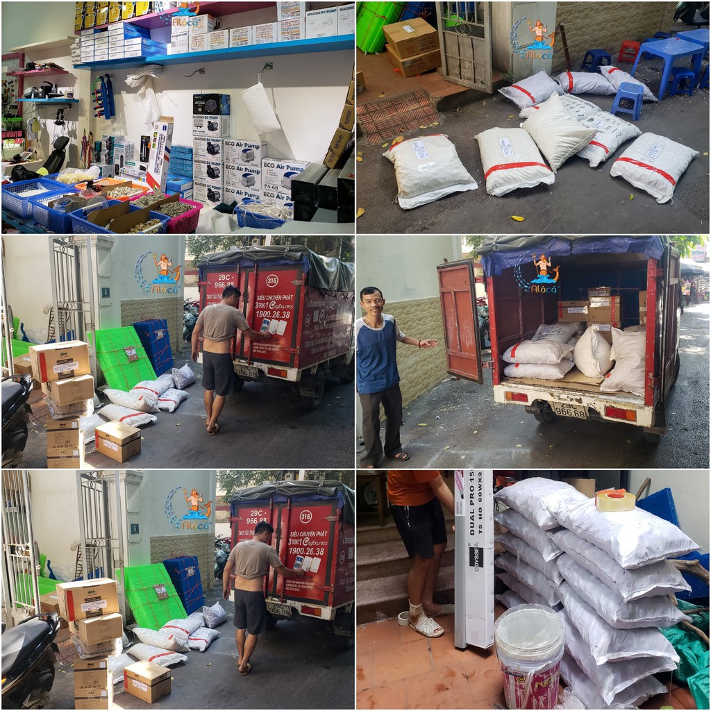 Bao 1kg vật liệu lọc xử lý nước bể cá cảnh sứ bi muối tiêu