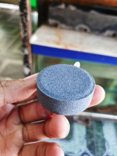 SỦI DĨA OXY HỒ CÁ NON BỘ ĐƯỜNG KÍNH 4CM