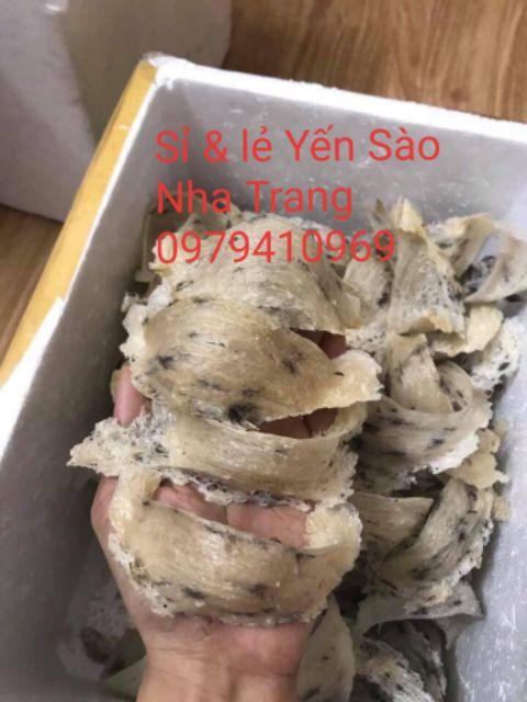 🎁 Yến Sào Thô còn lông nguyên tổ nguyên chất 1 tai 9gr tặng táo đỏ, đường phèn, long nhãn